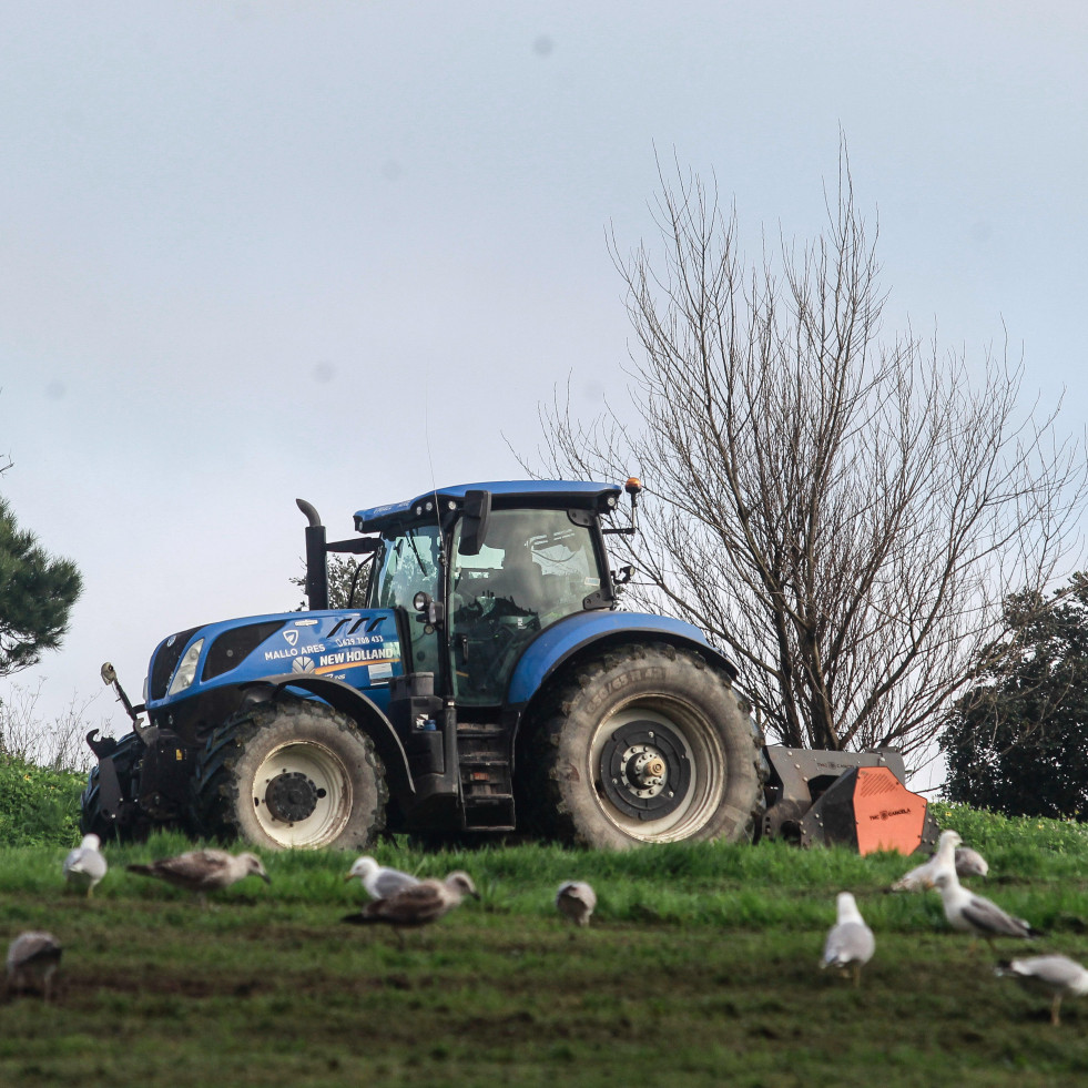Jóvenes que quieran incorporarse al agro y mejorar su explotación pueden solicitar ayudas de hasta 320.000 euros