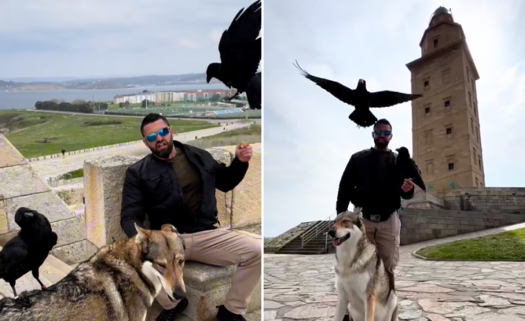 El hombre que susurra a los cuervos sobrevuela A Coruña