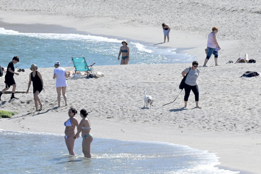 Malestar entre los bañistas de A Coruña por el incivismo de los dueños de perros