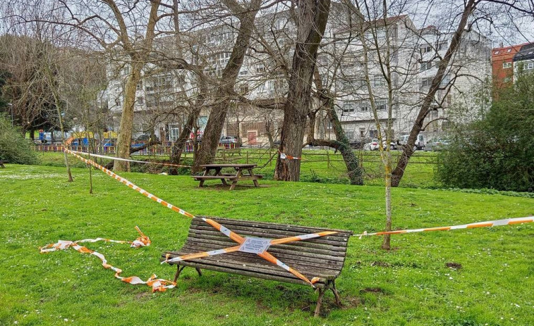 Culleredo retirará y replantará 25 árboles en el entorno del río Trabe