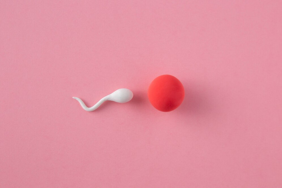 Por fin, juntos en esto: la píldora masculina sin hormonas redefine la planificación familiar