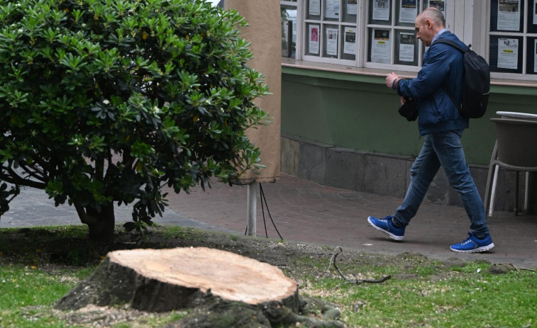 La tala de un segundo álamo todavía ensombrece más la plaza de Ourense