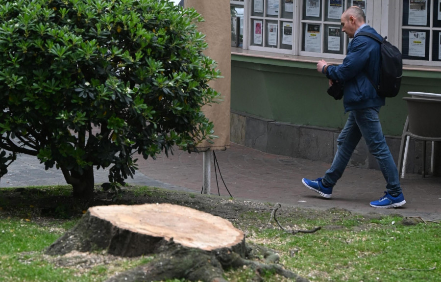 La tala de un segundo álamo todavía ensombrece más la plaza de Ourense