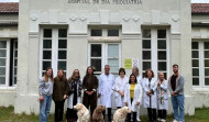Perros de terapia ayudan a los pacientes de la unidad de Psiquiatría del Hospital de Oza