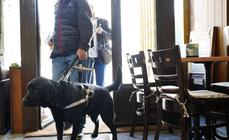 Las personas con perros de asistencia podrán acceder con ellos a espacios de uso público