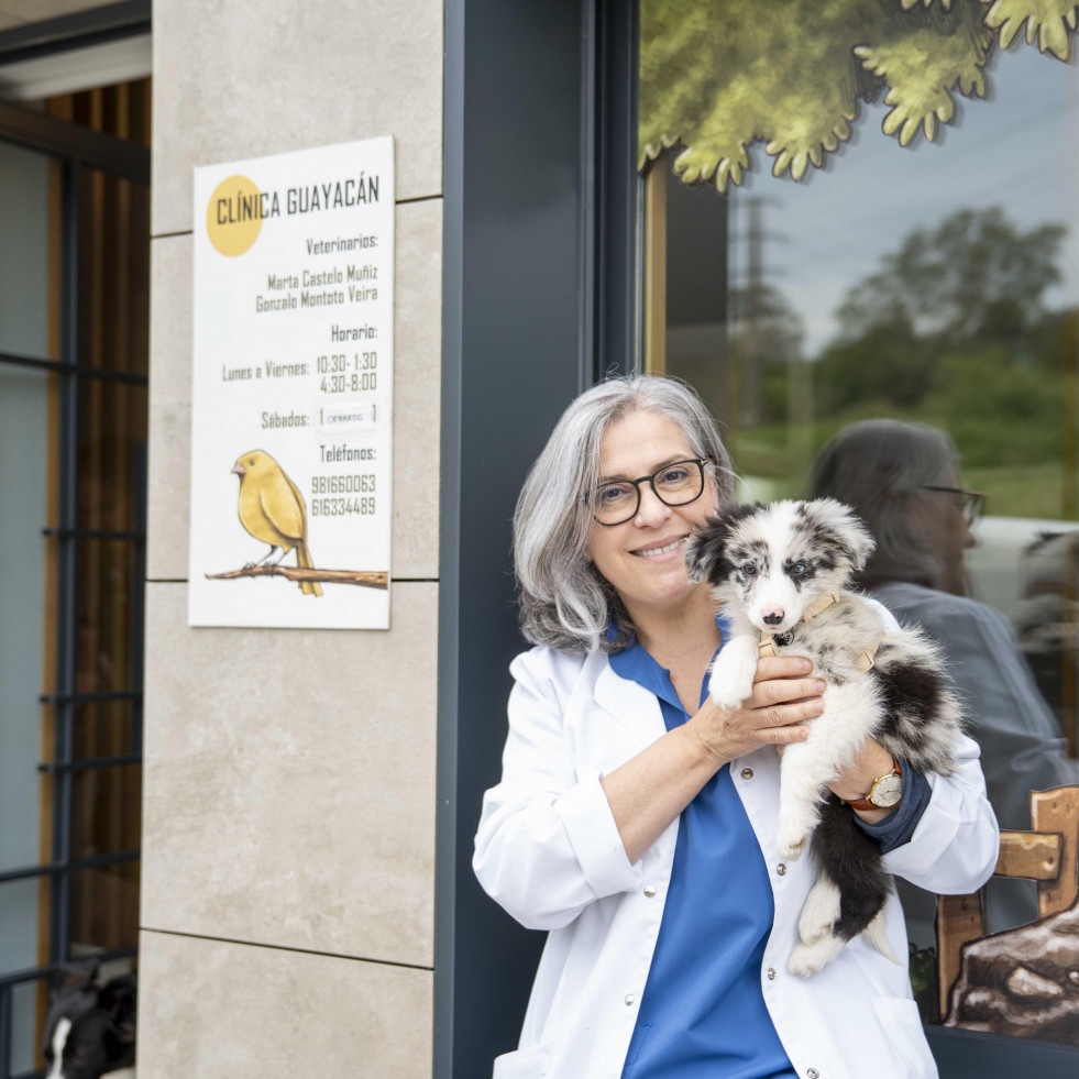 Con anestesia local y la luz que entraba por la ventana: así salvaron a un perro herido en A Coruña en pleno apagón