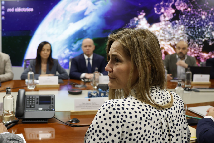 El Gobierno pone en marcha dos grupos para analizar las causas del apagón