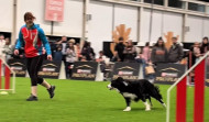 Los animales toman A Coruña con la celebración de Pata Pata, una feria inédita para los dueños de mascotas