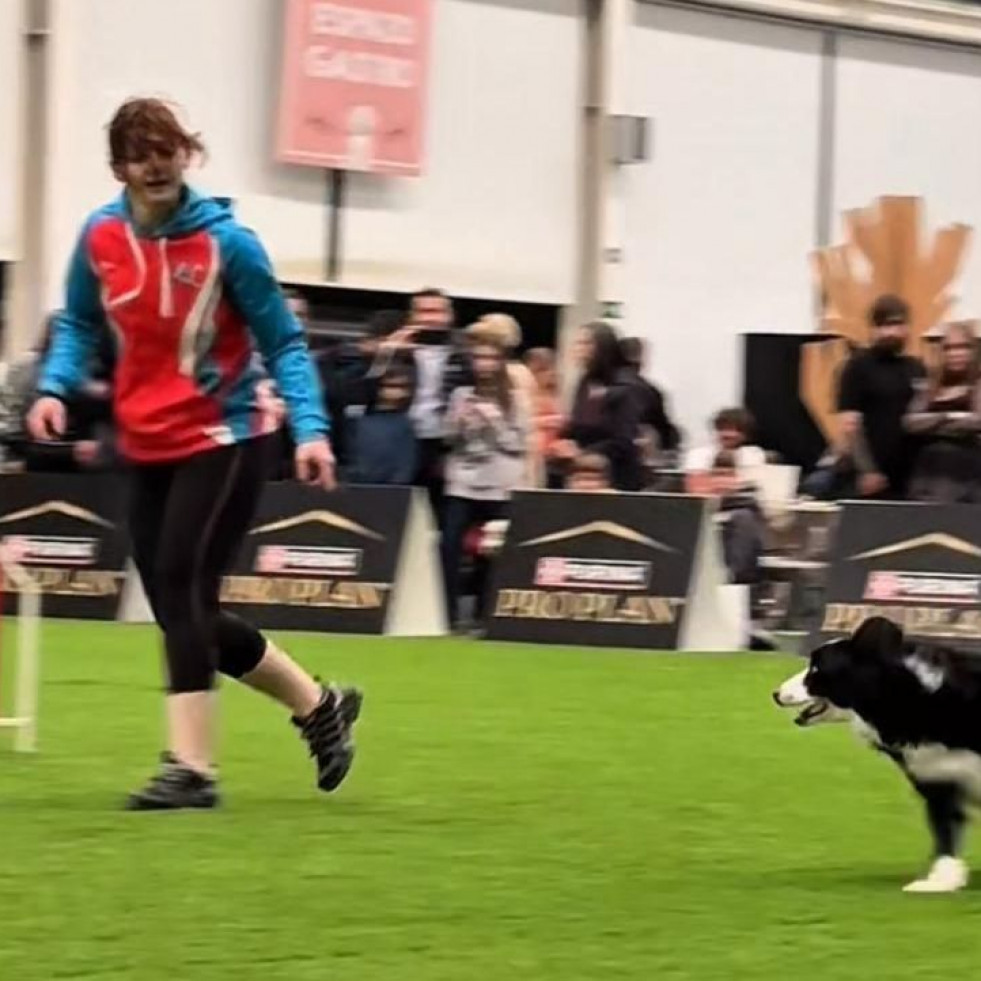 Los animales toman A Coruña con la celebración de Pata Pata, una feria inédita para los dueños de mascotas