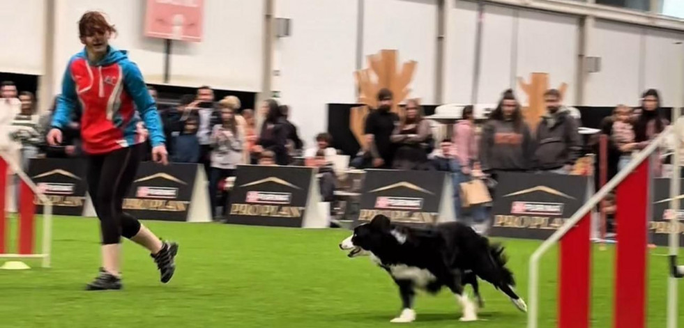 Los animales toman A Coruña con la celebración de Pata Pata, una feria inédita para los dueños de mascotas