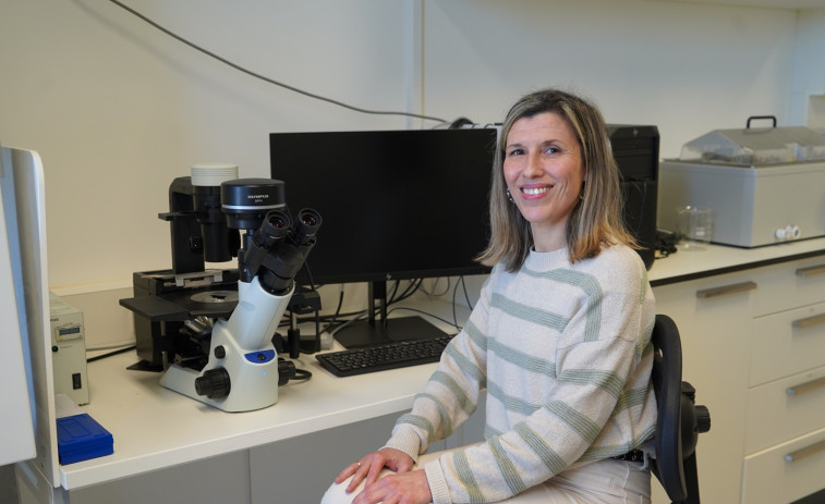 El Ministerio de Ciencia financiará un proyecto de regeneración de cartílago de la Universidad de A Coruña