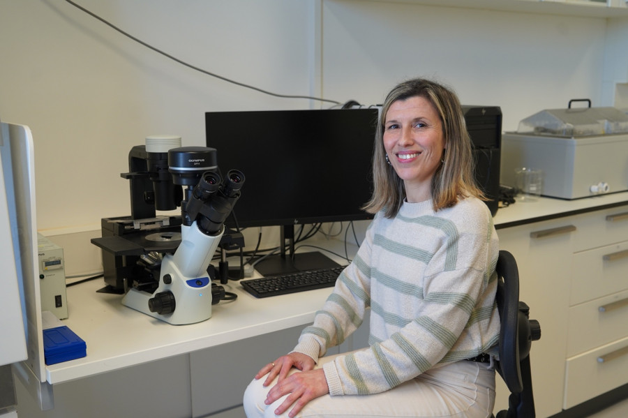 El Ministerio de Ciencia financiará un proyecto de regeneración de cartílago de la Universidad de A Coruña