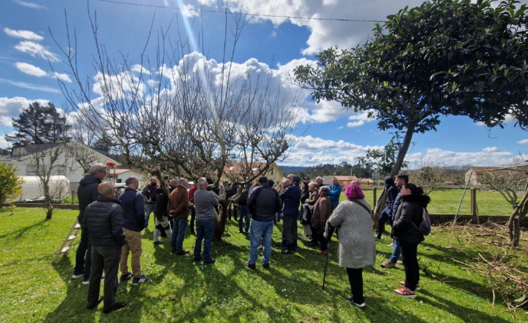 Paderne termina su programa de actividades con talleres de tratamientos naturales y poda