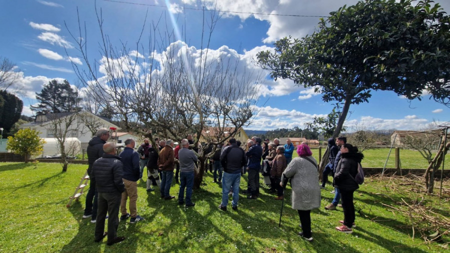 Paderne termina su programa de actividades con talleres de tratamientos naturales y poda