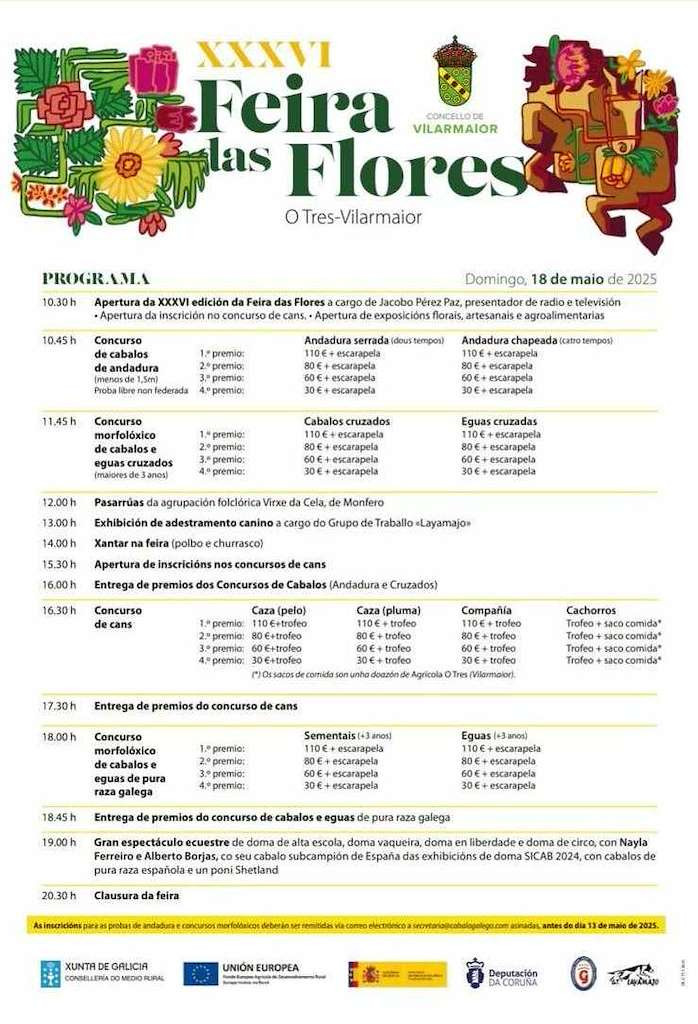 Feira das Flores en Vilarmaior