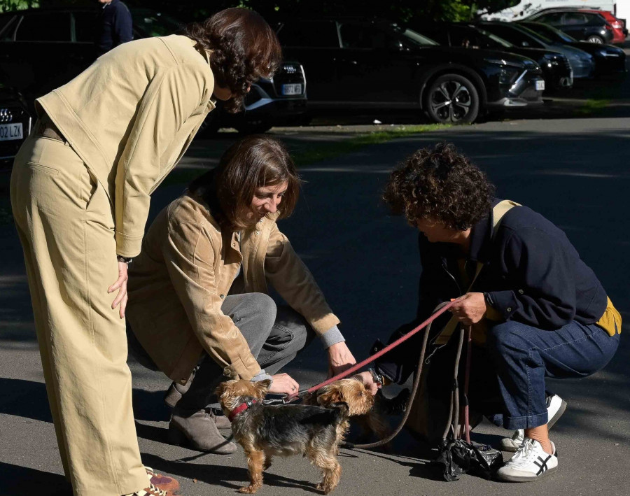 La conselleira de Medio Ambiente apela a adoptar animales desde Oleiros