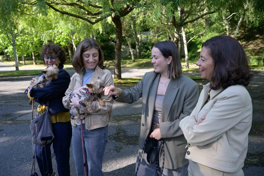 La Xunta entregará hasta 150 euros por adoptar a un animal abandonado