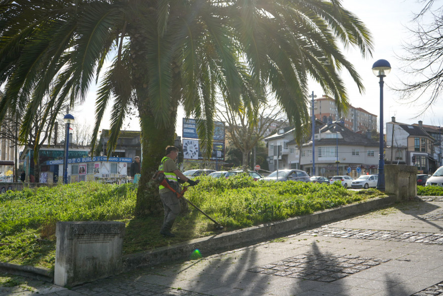 Culleredo adjudica todos los contratos de mantenimiento de jardines