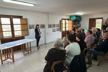 Betanzos infesta