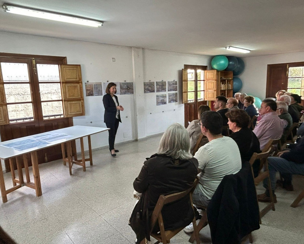 Betanzos infesta