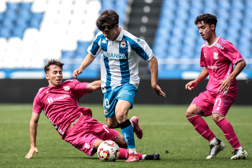 Hector areosa juvenil a tenerife