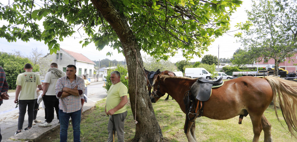 Las mejores imágenes de la 'Feira das Flores' de Vilarmaior