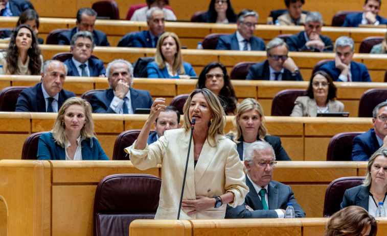 El Senado exigirá al Gobierno central una investigación independiente sobre el apagón del 28-A