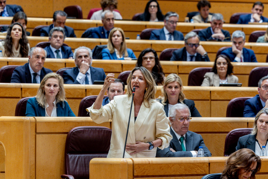 El Senado exigirá al Gobierno central una investigación independiente sobre el apagón del 28-A