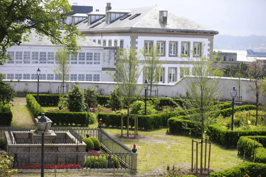 El jardín de San Carlos, en A Coruña, ya presume de olmos resistentes a la grafiosis