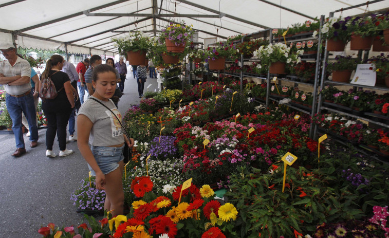 Hace 25 años | La Feira das Flores de Vilarmaior reúne a 4.000 personas y a comerciantes de toda la comarca