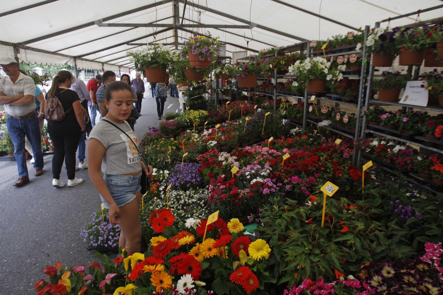Hace 25 años | La Feira das Flores de Vilarmaior reúne a 4.000 personas y a comerciantes de toda la comarca