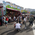 Fiesta de los Rosales