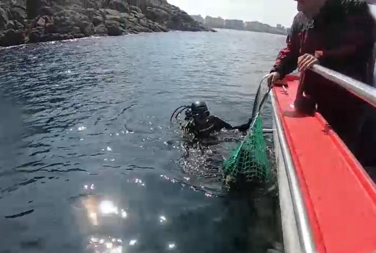 Cofradu00eda faena erizos cedida 2