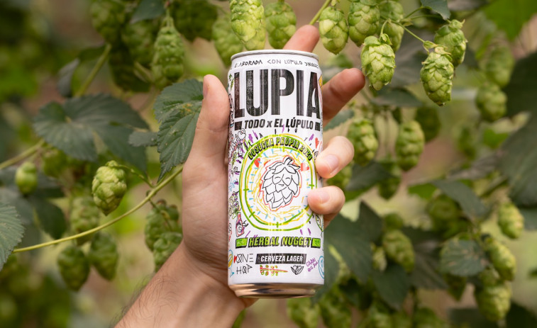 Estrella Galicia lanza su nueva cerveza Lupia, con lúpulo cosechado en A Coruña