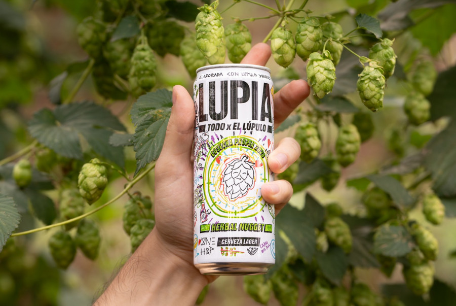 Estrella Galicia lanza su nueva cerveza Lupia, con lúpulo cosechado en A Coruña