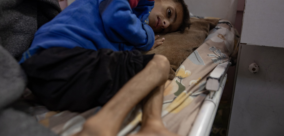 Gazatíes hambrientos saquean 77 camiones cargados de harina en la franja palestina