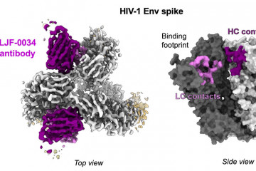 20250527 wyatt hiv vaccine 920x500