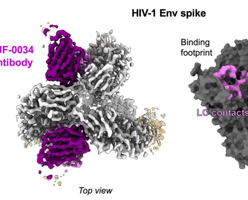 20250527 wyatt hiv vaccine 920x500