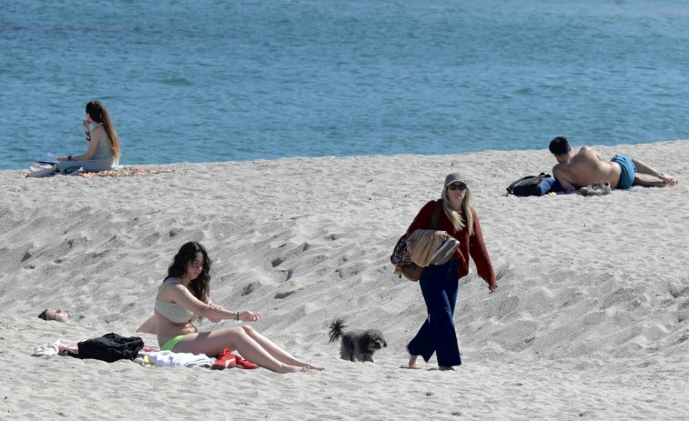 Medio Ambiente no se plantea instalar zonas reservadas para perros en las playas coruñesas este verano