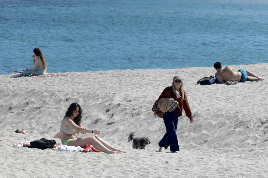 Medio Ambiente no se plantea instalar zonas reservadas para perros en las playas coruñesas este verano