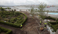 El nuevo olmedal del jardín de San Carlos, en A Coruña, ya está al completo