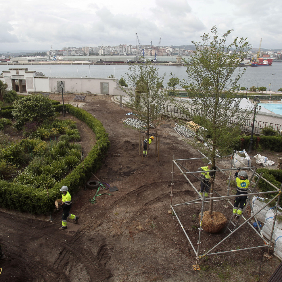 El nuevo olmedal del jardín de San Carlos, en A Coruña, ya está al completo