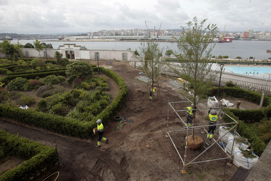 El nuevo olmedal del jardín de San Carlos, en A Coruña, ya está al completo