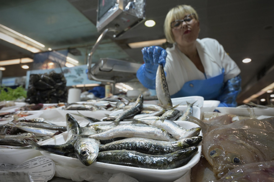 Vuelve el reinado de la sardina a los mercados de A Coruña: “Ya calentamos motores”