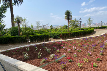 Jardines de San Carlos