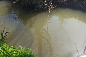Verteduras rio Bolaños