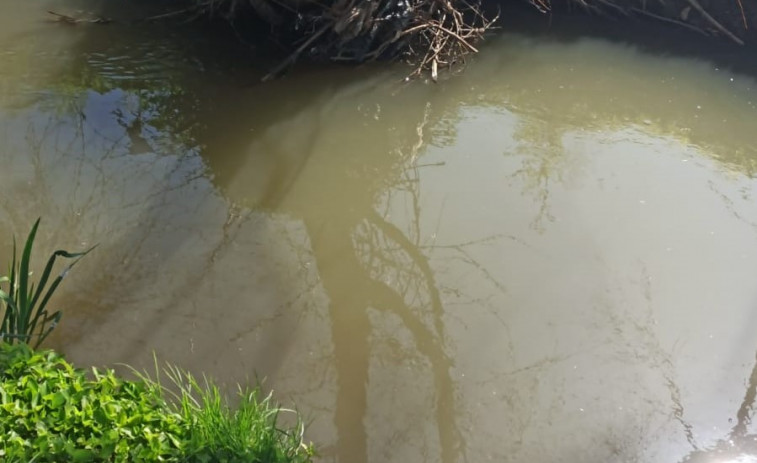 Los socialistas de Arteixo denuncian los continuos vertidos al río Bolaños