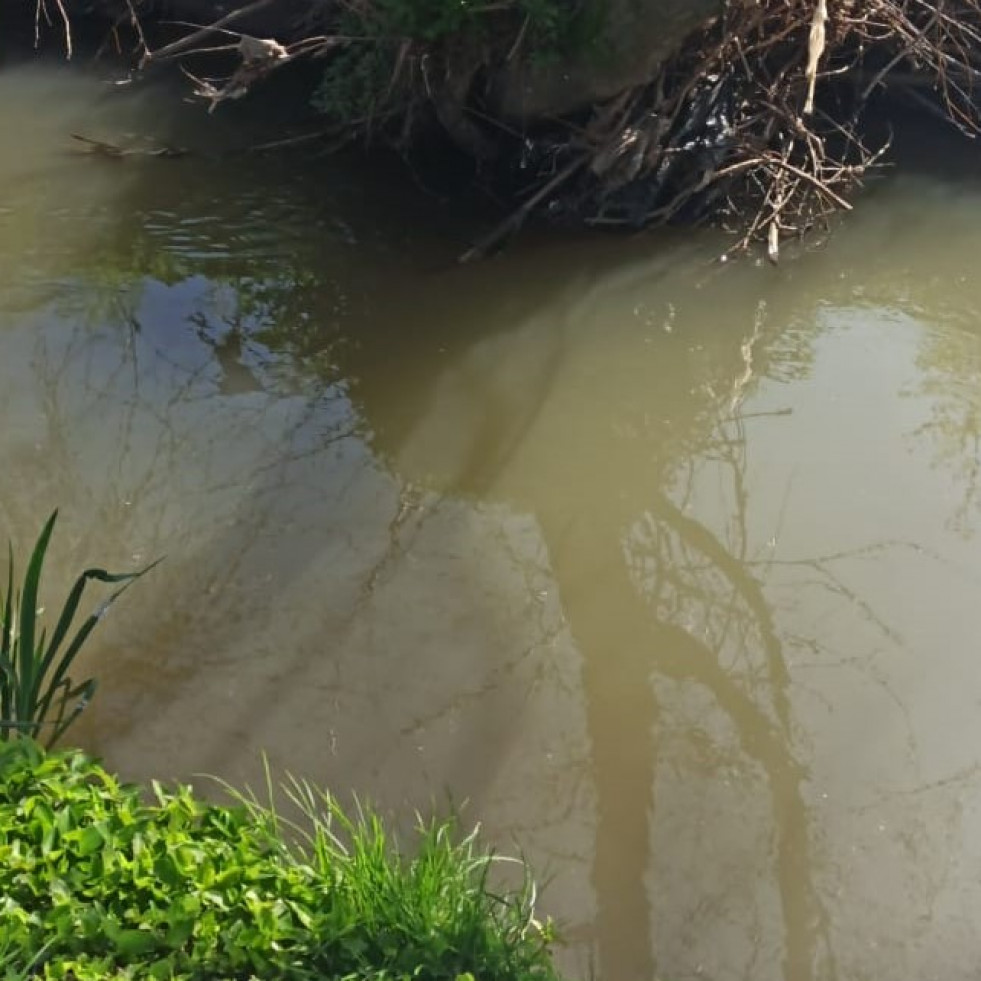 Los socialistas de Arteixo denuncian los continuos vertidos al río Bolaños
