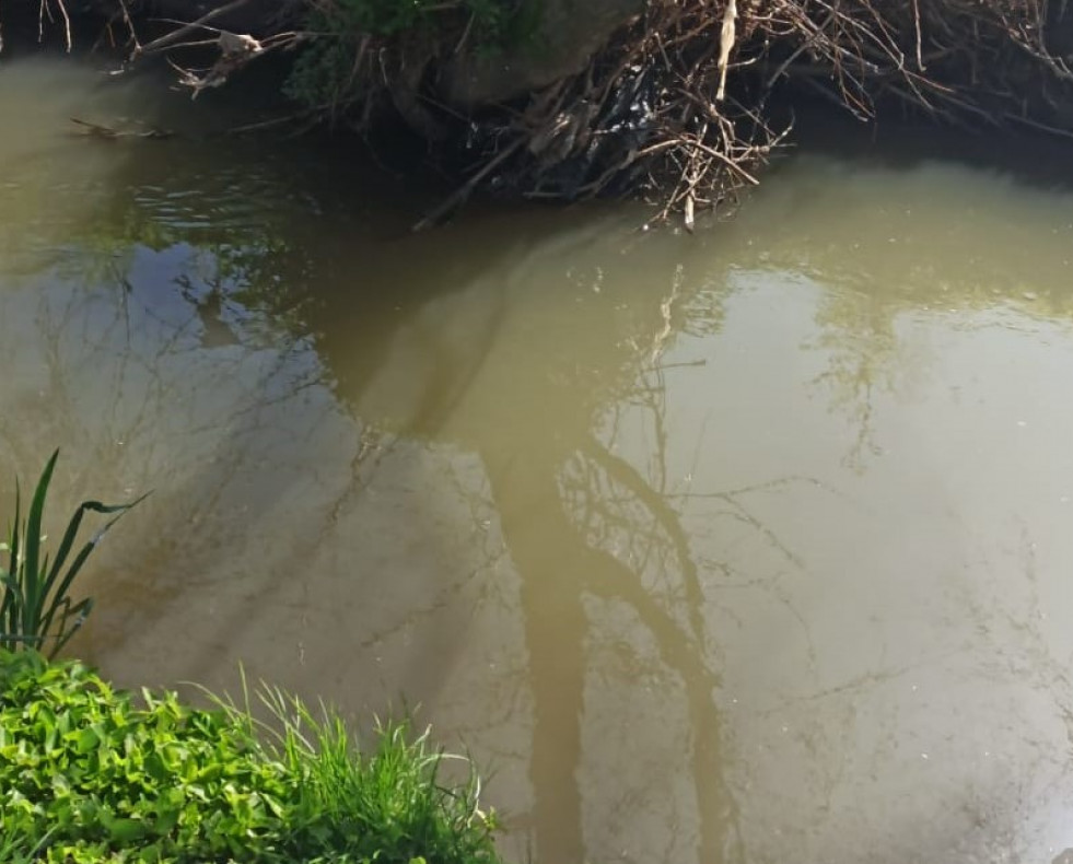Verteduras rio Bolaños