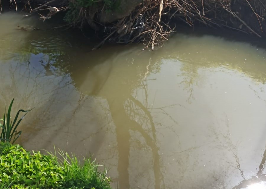 Los socialistas de Arteixo denuncian los continuos vertidos al río Bolaños